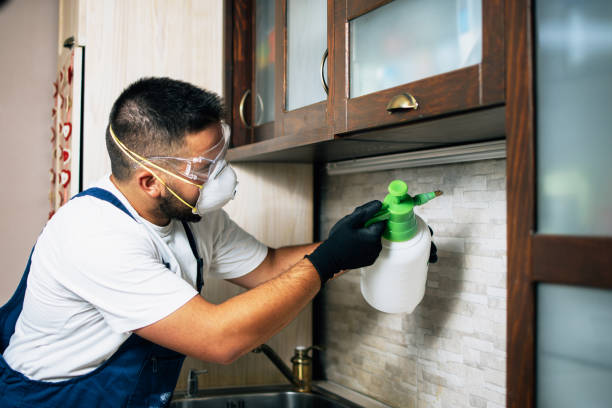 Best Flea Control Services  in West Athens, CA