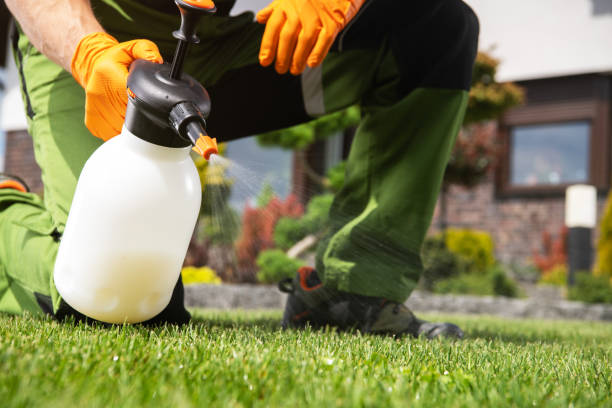 Best Local Pest Control Services  in West Athens, CA