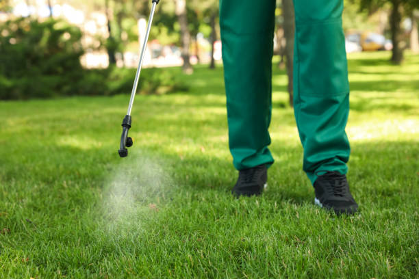 Trusted West Athens, CA Pest Control Experts