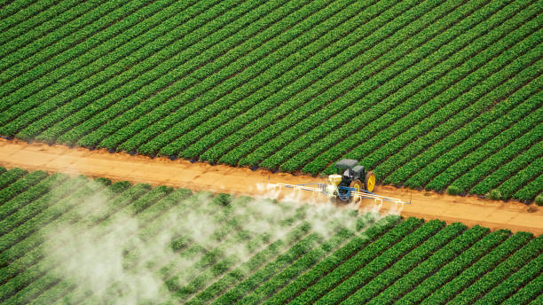 Pest Prevention Services in West Athens, CA