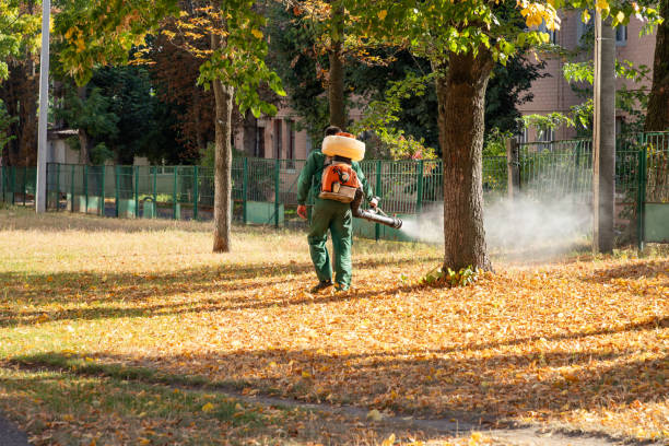 Bird Control in West Athens, CA