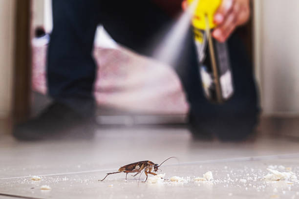 Best Pest Prevention Services  in West Athens, CA